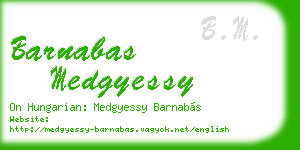 barnabas medgyessy business card